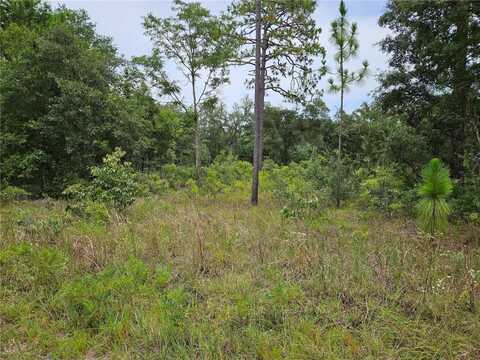 919 NE 148TH COURT, WILLISTON, FL 32696
