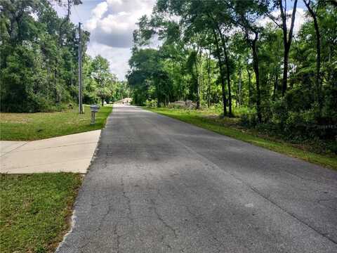 Tbd NE 5TH STREET, WILLISTON, FL 32696