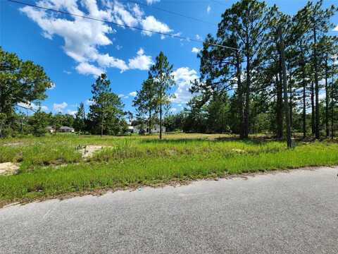 MALAUKA RADIAL RUN, OCKLAWAHA, FL 32179