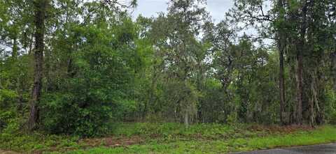 1308 N PROSPECT AVENUE, LECANTO, FL 34461