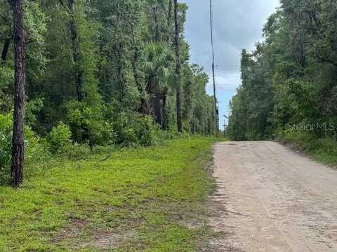 Tbd NW 97 COURT, CHIEFLAND, FL 32626