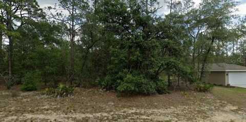 6299 N ALLSTON TERRACE N, DUNNELLON, FL 34433