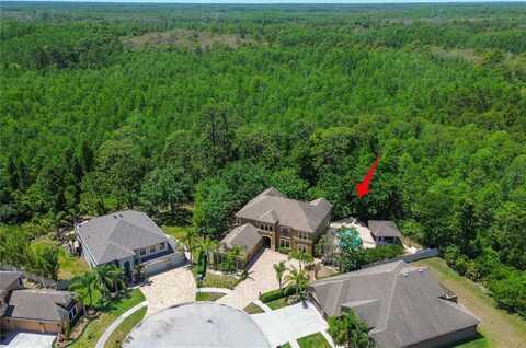 14809 NINEBARK COURT, LAND O LAKES, FL 34638