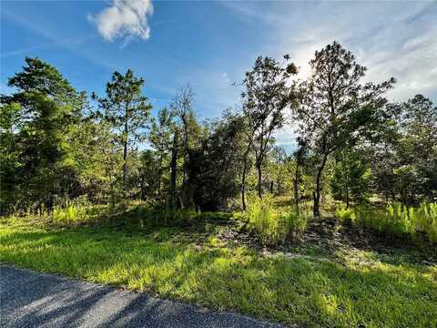Lot 24 SE 136 TERRACE, DUNNELLON, FL 34431