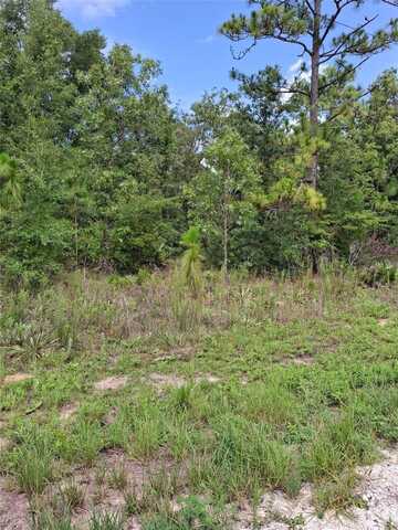 Lot 7 CRABAPPLE ROAD, WEEKI WACHEE, FL 34614