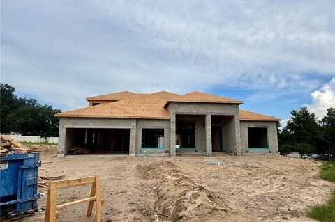3334 WOLF LAKE AVENUE, APOPKA, FL 32712