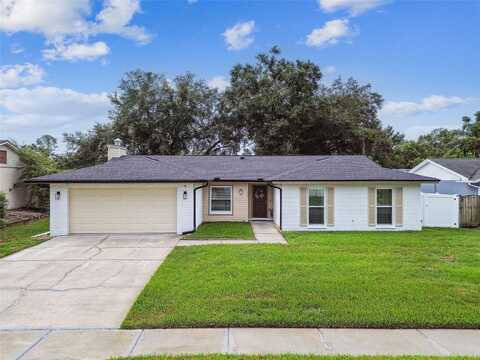 4010 MOUNTAIN SPRINGS LANE, TAMPA, FL 33624