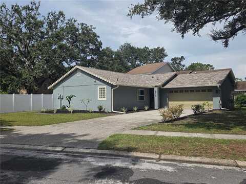 2719 LAKEVILLE DRIVE, TAMPA, FL 33618