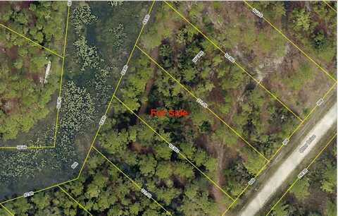 OTTER DRIVE, WEBSTER, FL 33597