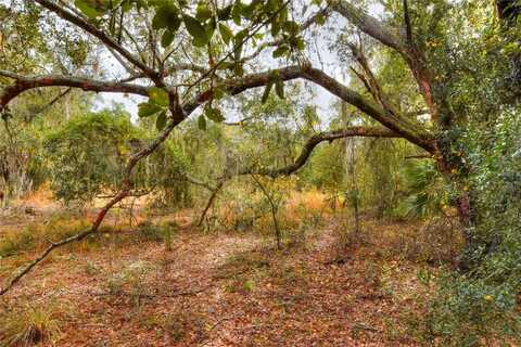 0 KEYSVILLE ROAD, LITHIA, FL 33547