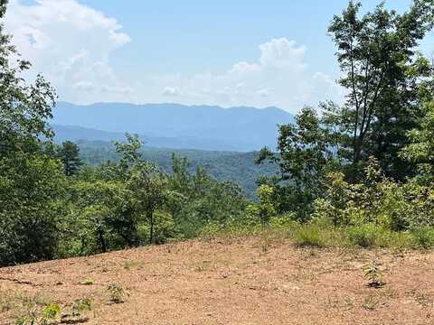 501 Clifftop Trail, ANDREWS, NC 28901