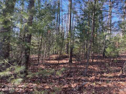 Lot 5 Sherwood Forest, MURPHY, NC 28906