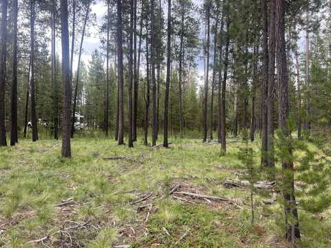 55975 Savage Drive, Bend, OR 97707