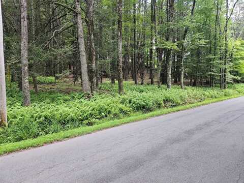 Hurd and Parks Road, Kauneonga Lake, NY undefined