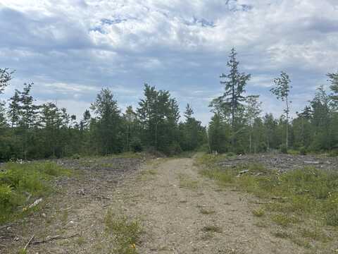 0a Clearcut Lodge Road, Springfield, ME 04487