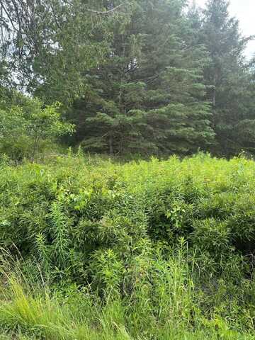 Lot 5 Soper Road, Orland, ME 04413
