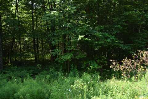 M 2 L40 Preble Avenue, Madison, ME 04950