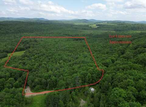 Lots 10&11 Davenport Road, Hartford, ME 04220