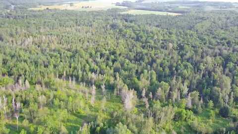 297 Washburn Road, Presque Isle, ME 04769
