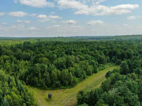 M11l11 Sheepskin Road, Carroll Plt, ME 04487