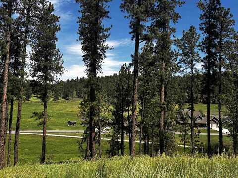 Blk 7 Lot 4, Hill City, SD 57745