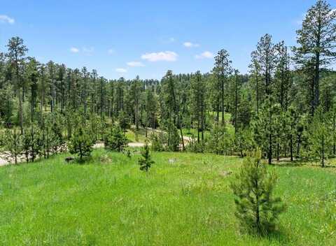 Lot 4 Magpie Road, Lead, SD 57754