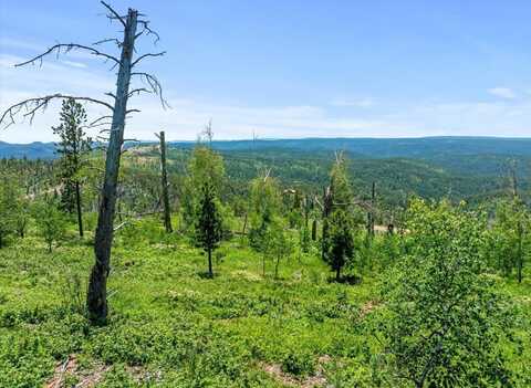 Lot 1, Lead, SD 57754
