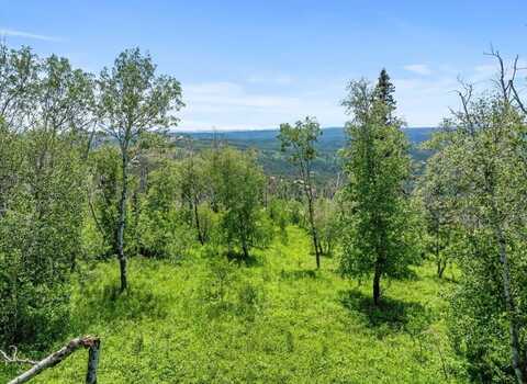 Lot 2, Lead, SD 57754