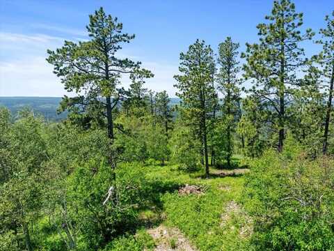 Lot 3, Lead, SD 57754