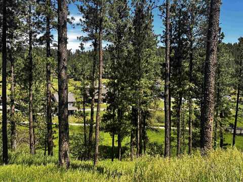 Block 7 lot 5, Hill City, SD 57745