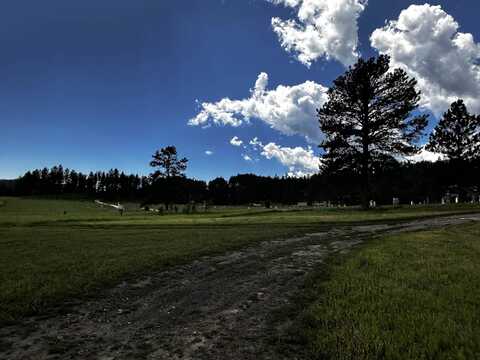 Blk 6 Lot 7, Hill City, SD 57745