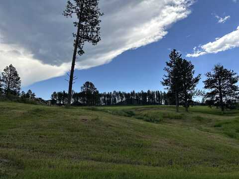 Blk 6 Lot 8, Hill City, SD 57745