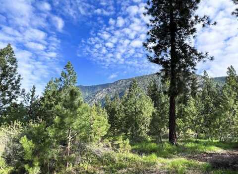 Nhn Mahonia Road, Plains, MT 59859