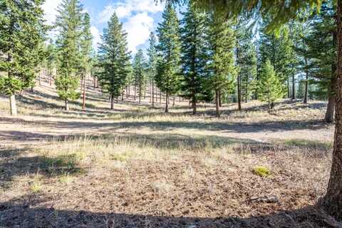 Muddler Court lot: 15, Clinton, MT 59825
