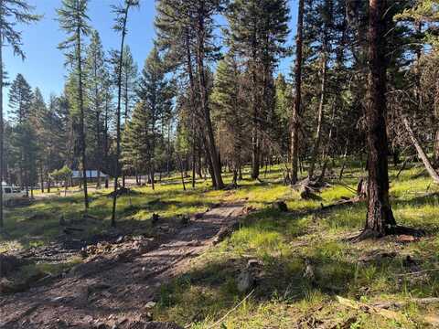 1016 Grandview Drive, Seeley Lake, MT 59868