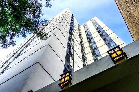 1339 N Dearborn Street, Chicago, IL 60610