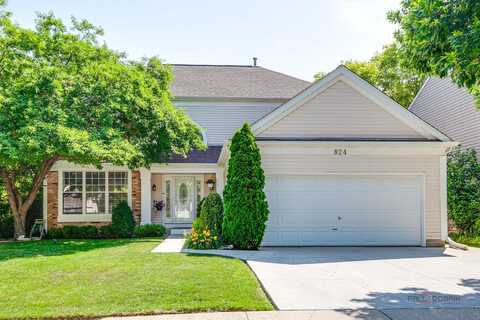 824 Tylerton Circle, Grayslake, IL 60030