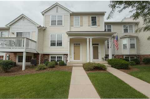 339 Terra Springs Circle, Volo, IL 60020