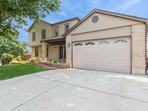 1029 Rain tree Drive, Bolingbrook, IL 60440