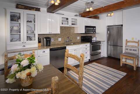 1024 E Cooper Avenue, Aspen, CO 81611