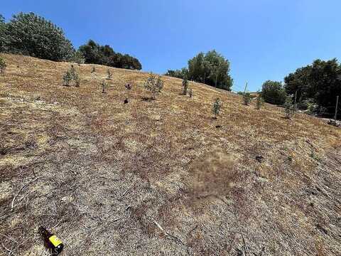 3135 Eva Terrace, Los Angeles, CA 90031