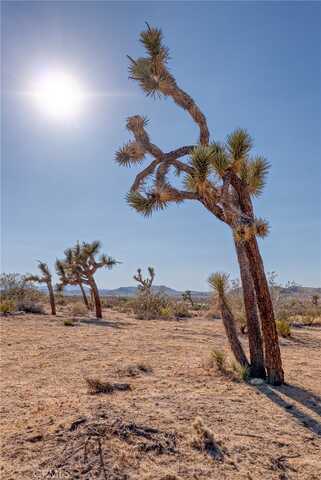 107 Juniper Road, Joshua Tree, CA 92252