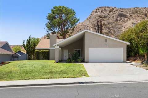 29801 Grandifloras Road, Canyon Country, CA 91387