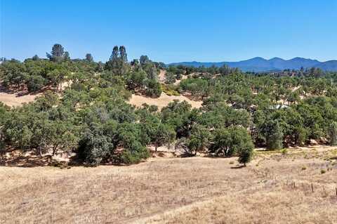 0 Bryson Hesperia Road, Bradley, CA 93426