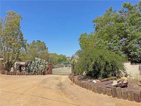 35728 Beauty Vista Lane, Agua Dulce, CA 91390