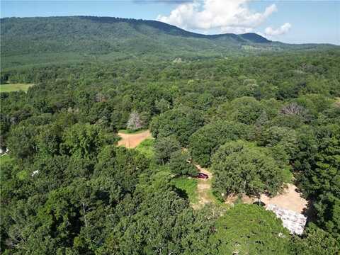 10301 Haney Hollow RD, Dardanelle, AR 72834