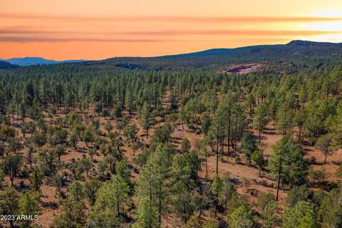 0 Fawn Drive, Pine, AZ 85544