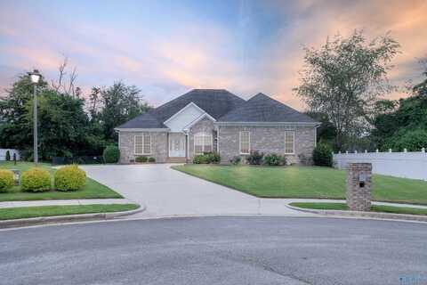 102 Campfire Circle, Meridianville, AL 35759