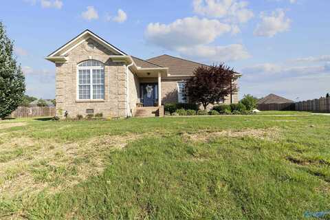 25842 Jamie Lane, Athens, AL 35613