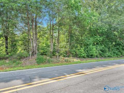 6.5 Roy Davis Road, New Market, AL 35761